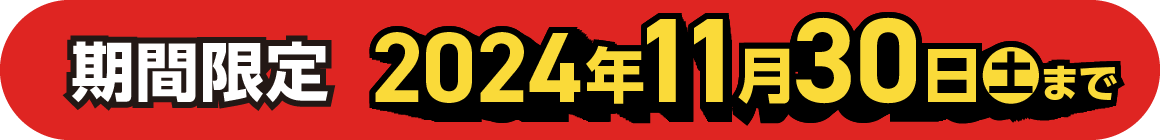 期間限定 2024年11月30日（土）まで